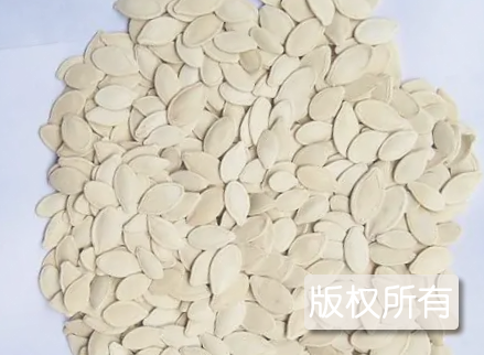 桦甸白瓜籽