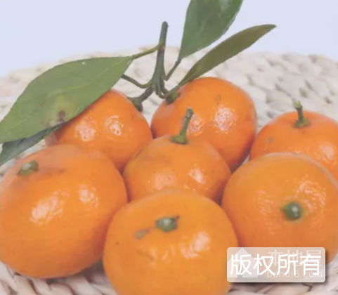 新余蜜桔
