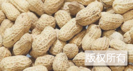 麻阳小籽花生