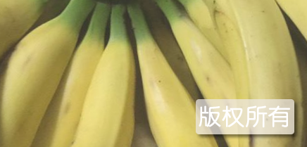 茂生香蕉