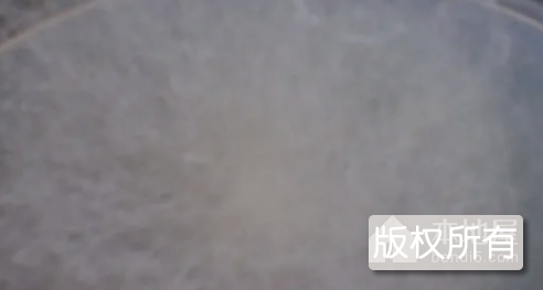 五通桥毛霉