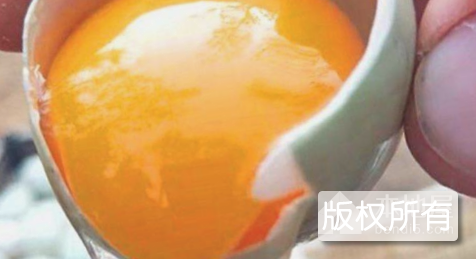 阳西红心鸭蛋