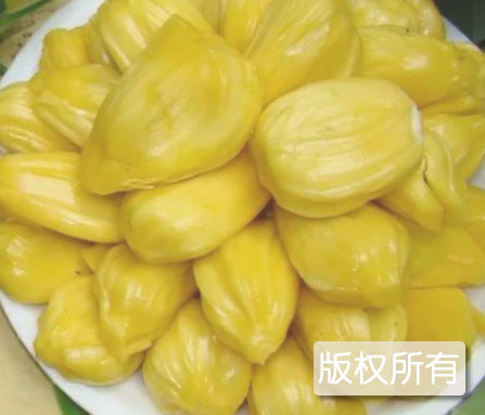 博白木菠萝