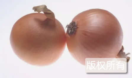 仁兆圆葱