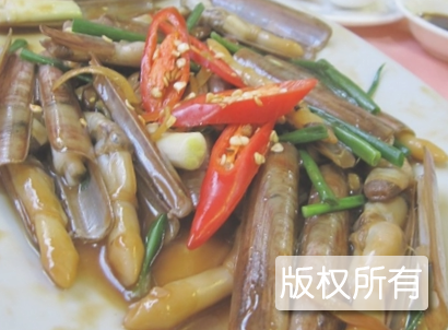 竹蛏