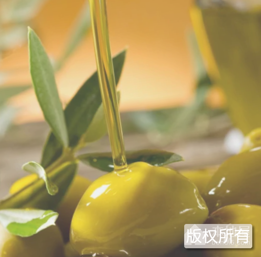 广元橄榄油