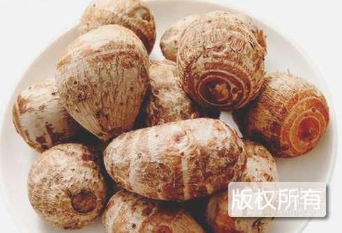 万年香沙芋艿