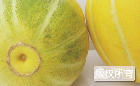 息县小香瓜