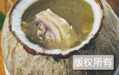 琼州椰子盅