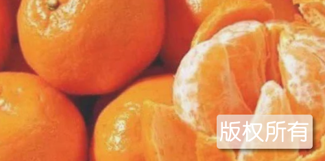 武陵柑橘