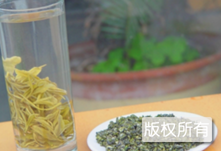 涌溪火青