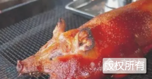 灶种乳猪