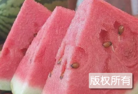 临川西瓜