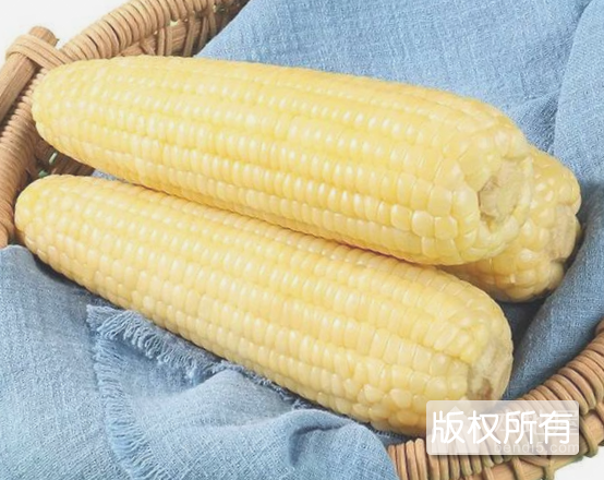 万全鲜食玉米