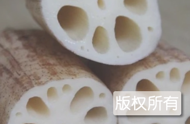 郸城吴台莲藕