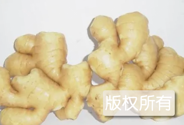 五指姜