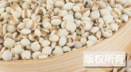 城南乡薏米