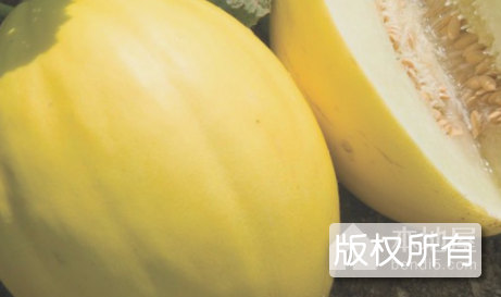 董市甜瓜