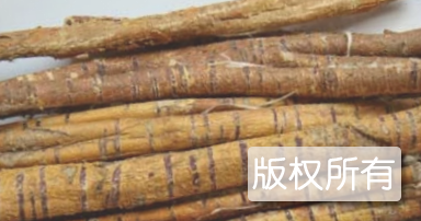 亳桑皮
