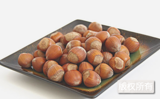 内蒙古榛子