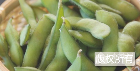 和县毛豆