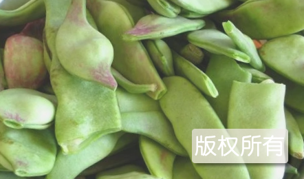 油豆角