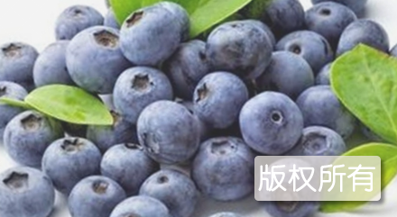 藏马密语蓝莓