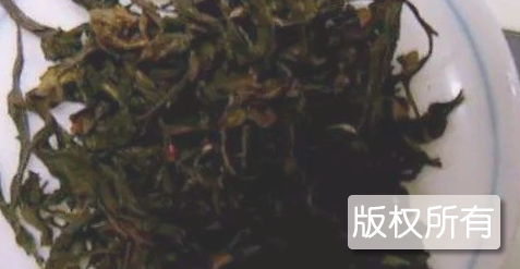 榕树茶