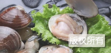 脆皮文蛤