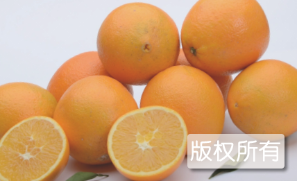 邻水脐橙