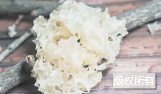 通江银耳