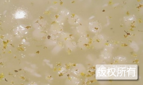 酒酿水子