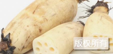 蔡甸莲藕