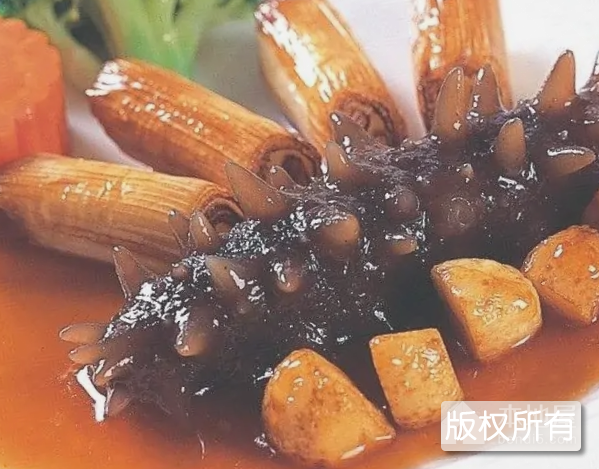 大葱烧海参