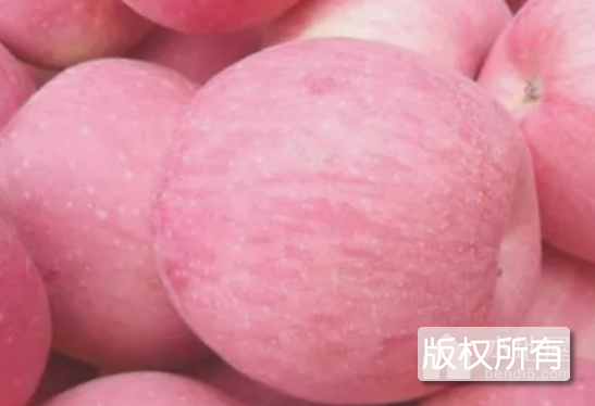 临汾红富士苹果