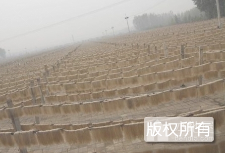 一奇甘薯粉丝