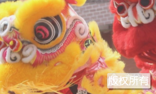 青溪仔狮灯
