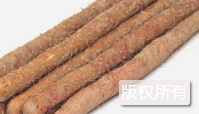 铁棍山药