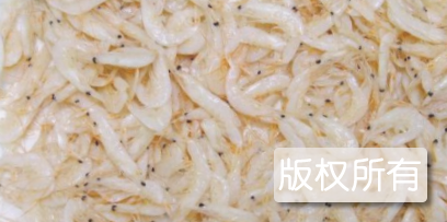 嵊泗虾米