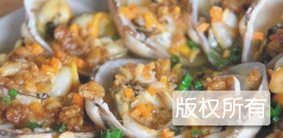 北海文蛤