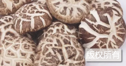 清炒小花菇