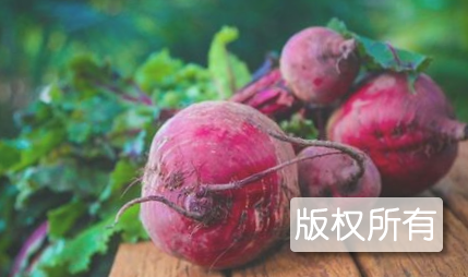 海伦甜菜