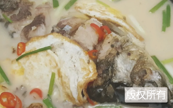 荷包鲫鱼