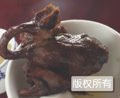烧野鸽