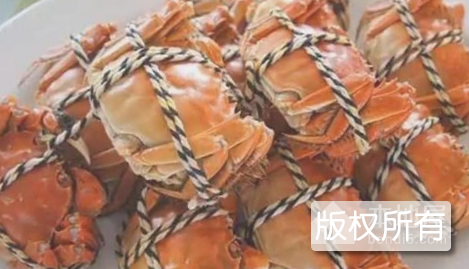 大通湖大闸蟹