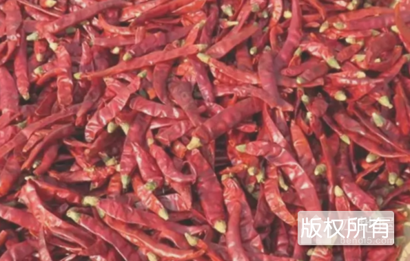 天鹰椒