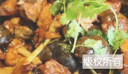 田螺鸡煲