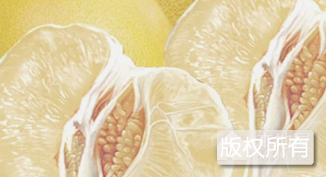 蒙山红肉蜜柚