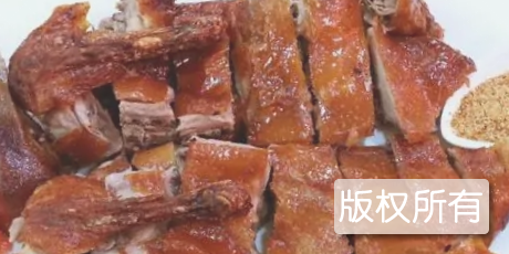 东方琵琶鸭