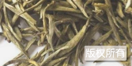 华蓥山银针茶